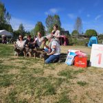 MARKULI’S SIGNE TILLISCH