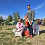 LOVING YOU LOVE IS A BAD NAMNE