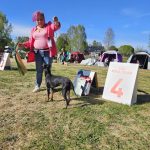 MAGICUS SILVESTRIS JULIETTE SNOWFLY