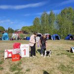 SHOUTINGHILL MOTIVADED BOOSTER