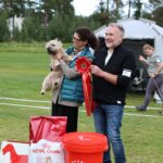 Janettan Tramonto Casatiello