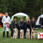 Kennel GULDKVISTENS