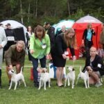  Kennel FRÖKEN FRÄKENS