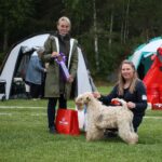 SE UCH,RLD N,RLD F,RLD A,SE RALLYCH GULDKVISTENS RONJA RÖVARDOTT